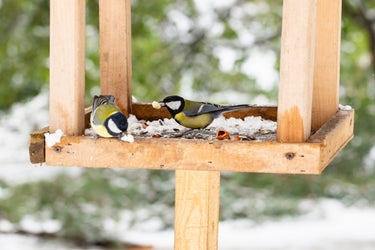 Bird Tray & Table Feeders
